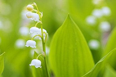 《原子之心》新更新发布：改善对话 改善游戏稳定性